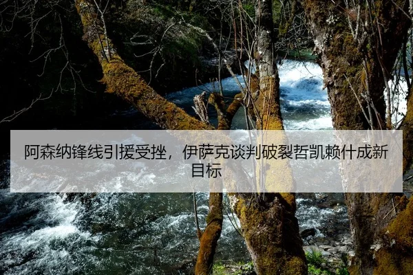 阿森纳锋线引援受挫，伊萨克谈判破裂哲凯赖什成新目标